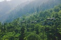 Traditional Houses on the Green Forest Rocks in Pakistani Mountains Royalty Free Stock Photo