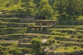 Traditional Houses on the Green Forest Rocks in Pakistani Mountains Royalty Free Stock Photo