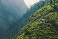 Traditional Houses on the Green Forest Rocks in Pakistani Mountains Royalty Free Stock Photo