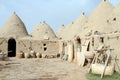 Houses in Harran