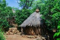 Traditional Houses in the Konso Cultural Village