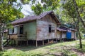 Traditional houses of the native people of indonesia in village