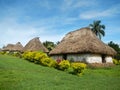 Traditional houses of Navala village, Viti Levu, Fiji