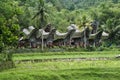 Traditional houses and rice barns in Tana Toraja, South Sulawesi, Indonesia Royalty Free Stock Photo