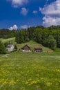 Traditional houses from Suiss Alps Royalty Free Stock Photo