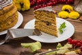 Traditional Hungarian Esterhazy cake .selective focus . with chocolate piece a name of the : Royalty Free Stock Photo