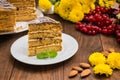 Traditional Hungarian Esterhazy cake .selective focus . with chocolate piece a name of the : Royalty Free Stock Photo