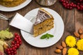 Traditional Hungarian Esterhazy cake .selective focus . with chocolate piece a name of the : Royalty Free Stock Photo