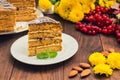 Traditional Hungarian Esterhazy cake .selective focus . with chocolate piece a name of the : Royalty Free Stock Photo