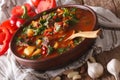 Traditional Hungarian goulash soup bogracs close-up in a bowl. h