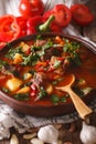 Traditional Hungarian goulash soup bogracs close-up in a bowl. V