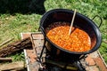 Traditional Hungarian goulash soup in the cauldron Royalty Free Stock Photo