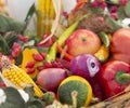 Traditional Hungarian vegetables Royalty Free Stock Photo