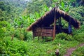 Traditional hut, campsite in lush tropical forest, Nam Ha National Protected Area, Laos