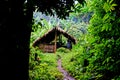 Traditional hut, campsite in lush tropical forest, Nam Ha National Protected Area, Laos