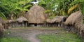 Traditional hut of dani people in traditional village