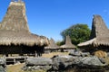 Traditional hut of inhabitant in sumba island Royalty Free Stock Photo