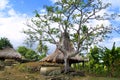 Traditional hut of inhabitant in sumba island Royalty Free Stock Photo