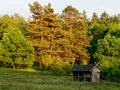 Traditional German hutch in heathland by golden sunset light