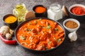 Traditional Indian British dish chicken tikka masala with spicy curry meat in creamy gravy over concrete background closeup. Royalty Free Stock Photo