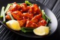 Traditional Indian dish chicken 65 with green onions and lemon c