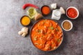 Traditional Indian dish Chicken tikka masala with spicy curry meat in bowl closeup. Horizontal top view Royalty Free Stock Photo