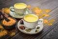 Traditional Indian drink turmeric milk Royalty Free Stock Photo