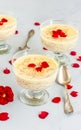 Traditional Indian Vermicelli Pudding Vertical Photo
