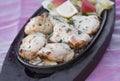 Traditional indian food chicken malai tikka grilled chicken breast