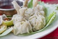 Traditional indian food Dim Sums dumplings