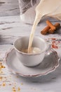 Traditional Indian masala tea. Spicy tea with aromatic spices and milk Royalty Free Stock Photo