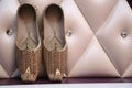 Traditional Indian shoes- wedding marriage
