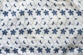 Traditional Indian white fabric with blue floral embroidery