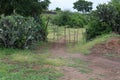 Traditional indian wood door for farm house