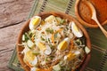 Traditional Indonesian salad gado-gado closeup. Horizontal top v