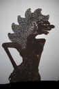 Traditional Indonesian shadow puppet theatre wayang kulit