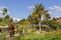 Traditional Indonesian style house next to a coconut palm tree in a tropical forest against a blue sky with clouds Royalty Free Stock Photo