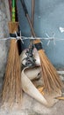 The traditional Indonesian tool for sweeping roads is the Sapu Lidi & x28;Broomstick& x29;