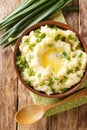 Traditional Irish champ is an easy side dish made with potatoes and green onions close up in the bowl. Vertical top view