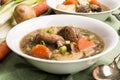 Traditional irish lamb stew with potato, carrot, celery and spr