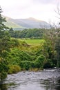 Irish landscape, near Muckross House, Ireland Royalty Free Stock Photo