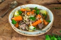 Traditional Irish stew Royalty Free Stock Photo