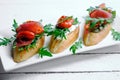 Traditional italian bruschetta with tomatoes Royalty Free Stock Photo