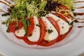 Traditional Italian Caprese salad with mozarela