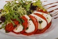 Traditional Italian Caprese salad with mozarela