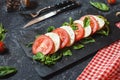 Traditional Italian Caprese Salad - sliced tomatoes, mozzarella cheese and basil on stone background Royalty Free Stock Photo