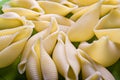 Traditional Italian conchiglioni rigati pasta Royalty Free Stock Photo