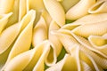 Traditional Italian conchiglioni rigati pasta Royalty Free Stock Photo