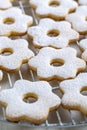 Traditional Italian cookies - canestrelli Royalty Free Stock Photo