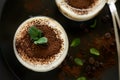 Traditional Italian dessert tiramisu decorated cocoa, coffee beans and mint leaves Royalty Free Stock Photo